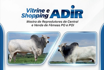 VITRINE E SHOPPING ADIR
